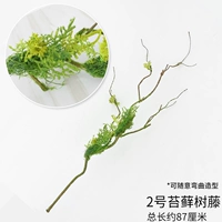 № 2 моделирование моховой виноградной лозы