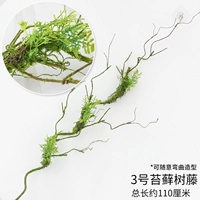 № 3 моделирование моховой виноградной лозы