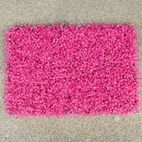 Розовый ультра -мимланд