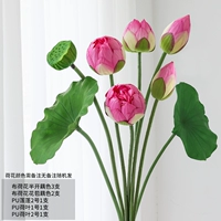 Ткани лотос костюм e