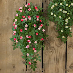 Artificial Rose Vine, Bionic Wall Covering, Wall Hanging Decoration, Green Plant, Fake Flower Vine, Wall Hanging Flower, Hanging Flower