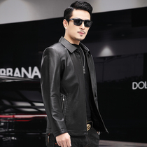 Haining leather men's short thin suit collar top layer leather middle-aged casual motorcycle jacket autumn coat