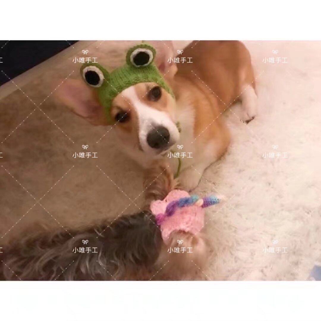 Small family pet leak ears into small frog wool hat cat dog large dog hat