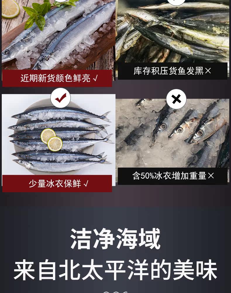 Подробности о новой сайре page_06.jpg