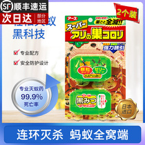 Japanese Anspeed Small Ants Recovery Home Ants Drug 2 Full Nest End Killing of Ant Bait Powerful removal of Ant-Ant
