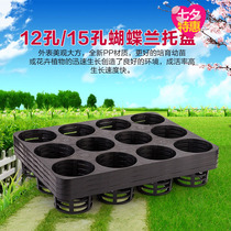 Nursery hole tray Phalaenopsis tray 12 holes 15 holes tray Flower nursery pot bracket plastic tray