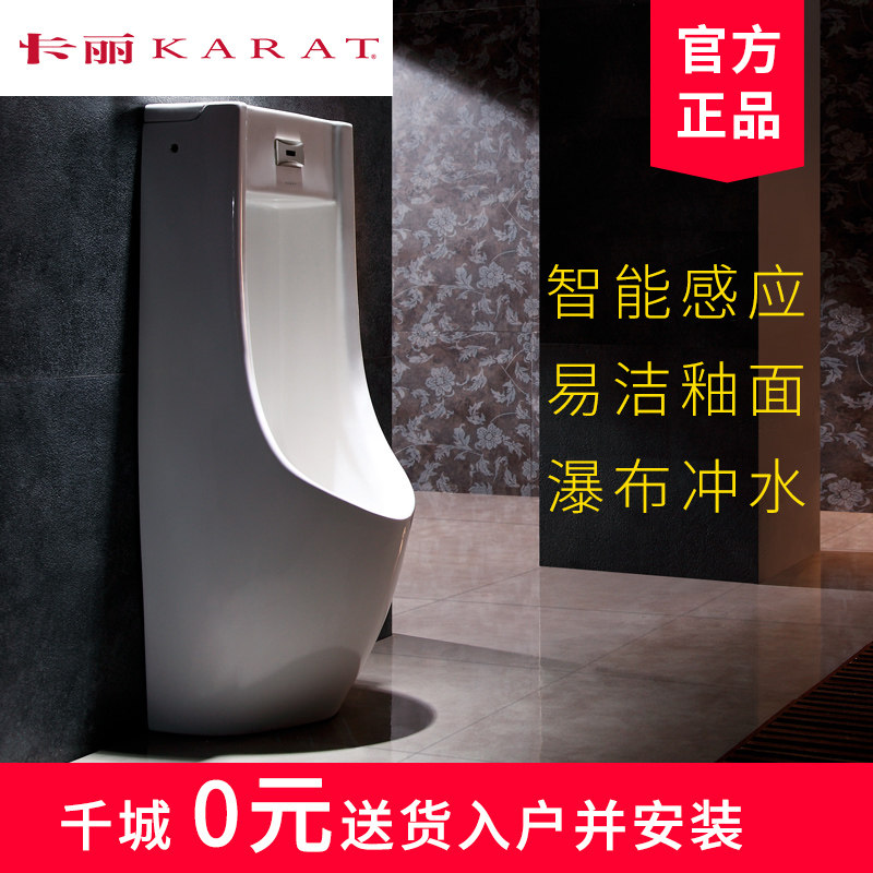 Carly Bathroom Fulles Floor-to-Ceiling Induction Urinal Urinal Bucket 17962T-MER-WK