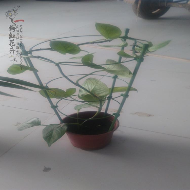 Trung quốc hoa trụ cột dưa chuột bracket nguồn cung cấp vườn bonsai chậu trang trí tăng dây leo mùa tăng giá vòi xịt tăng áp tưới cây
