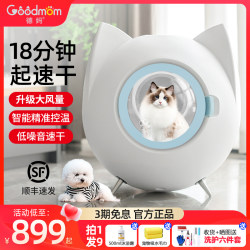 Dema pet drying box household hair dryer hair dryer cat and dog dryer hair dryer hair dryer bath