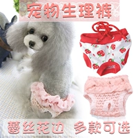 Домашние животные с горькими штанами, брюки для питомцев, чтобы предотвратить преследование маленькой собаки Тедди Бимей Бомей Менкенг Физиологические штаны Горячие.