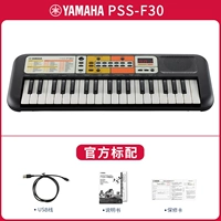 Официальный стандарт PSS-F30