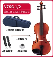 Ростомер, масштаб 1