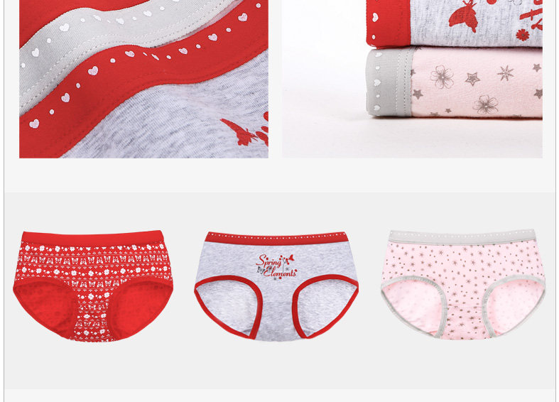 Slip jeunesse HODO DK142 en coton - Ref 666825 Image 11