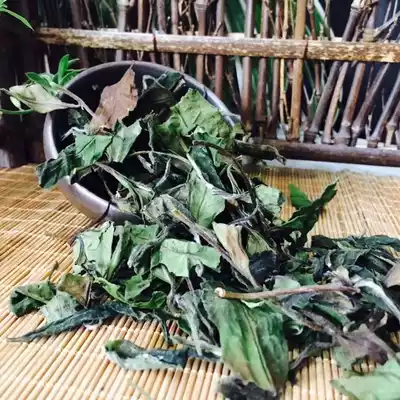 Green Gold | Spring Life 2021 Fuding White Tea Pipe Yang Gaoshan Tea Spring Tea Shoumei Qingyu 250g