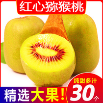 Sichuan Pujiang red kiwi 30 seasonal fruits fresh mud monkey peach 10 Kiwifruit about 5 pounds