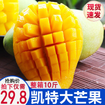 Sichuan Panzhihua big mango extra large green mango should be seasonal Kate fresh fruit to help farmers 10 whole with a box of pounds