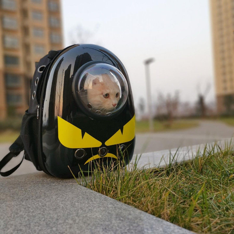 The flavor of the cat bag backpack out of the portable four seasons transparent space capsule cute breathable large capacity two