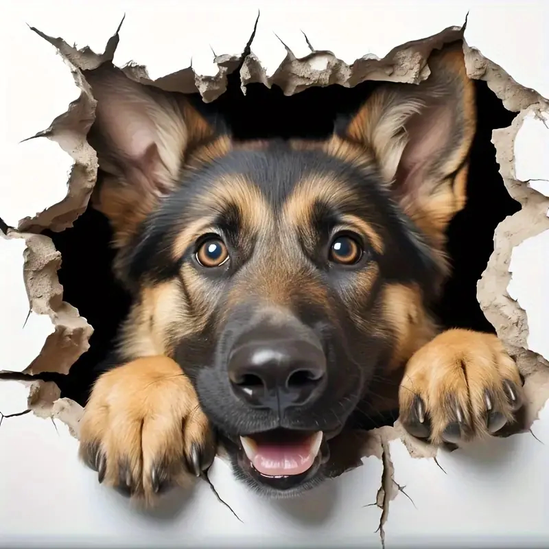 汽车牧羊犬贴纸新款摩托车贴纸笔记本墙面贴花贴纸3d立体爆款贴纸