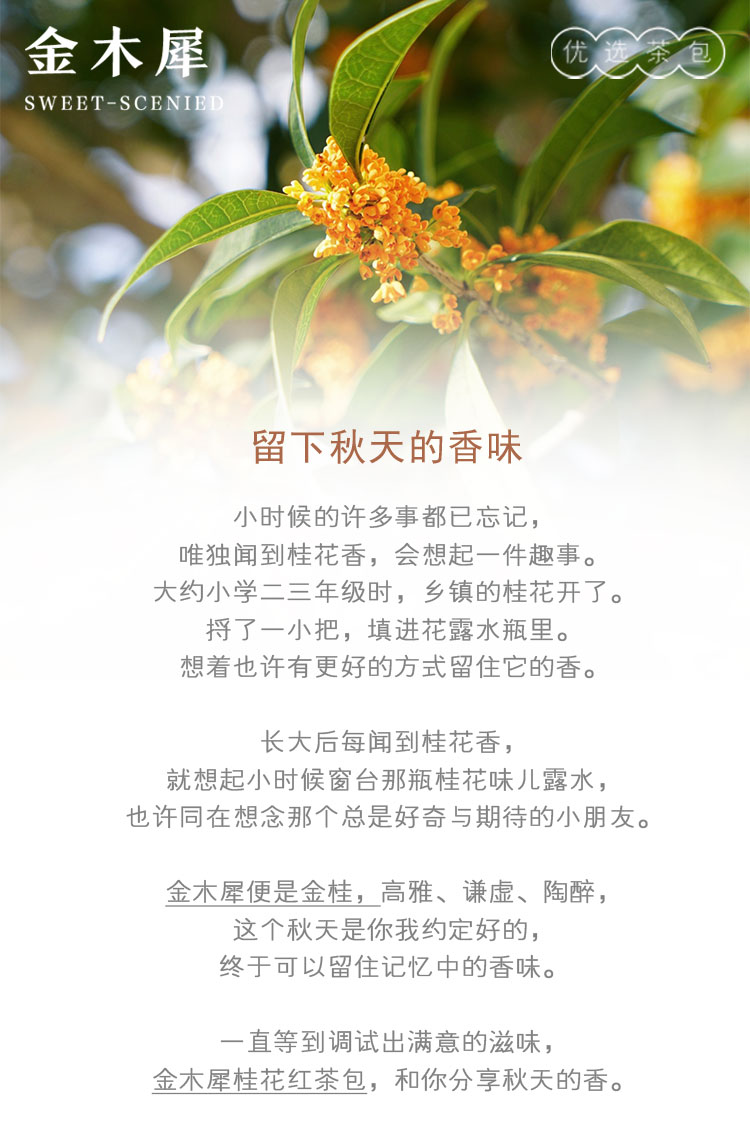 金桂茶包 金木犀濃醇紅茶桂花香高雅清長鮮爽回甘醇和10小袋