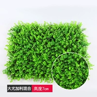 Даду Гали смешан