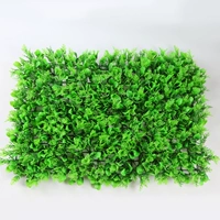 Капуста сосновая 40*60