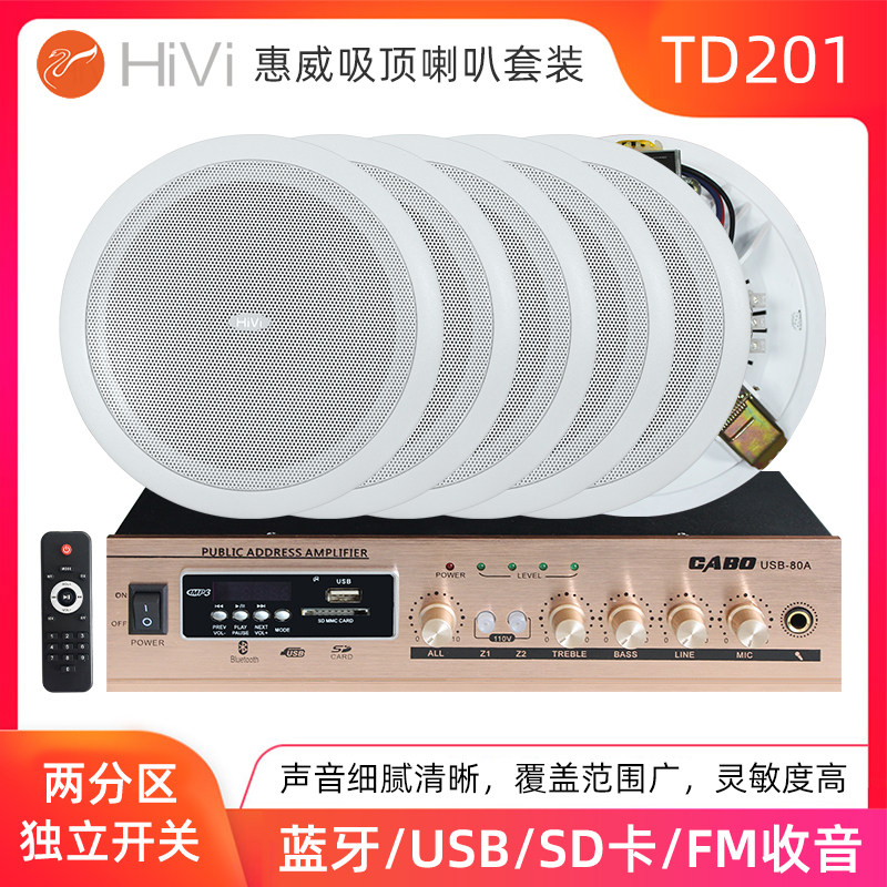 Hivi TD202 public broadcasting ceiling speaker 6 5 inch background music suspended ceiling speaker amplifier set