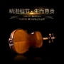 Đàn violin của Guo làm bằng gỗ rắn chuyên nghiệp cho người mới bắt đầu kiểm tra chơi nhạc cụ người lớn phương Tây guitar điện yamaha