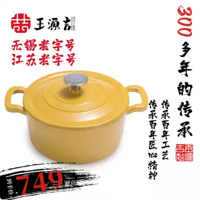 Wang Yuanji iron pot enamel soup pot 22CM thickening deepened household cast iron pot stew pot stew pot