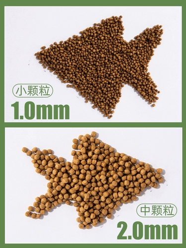 Рыба с высоким содержанием белка ест золотую рыб