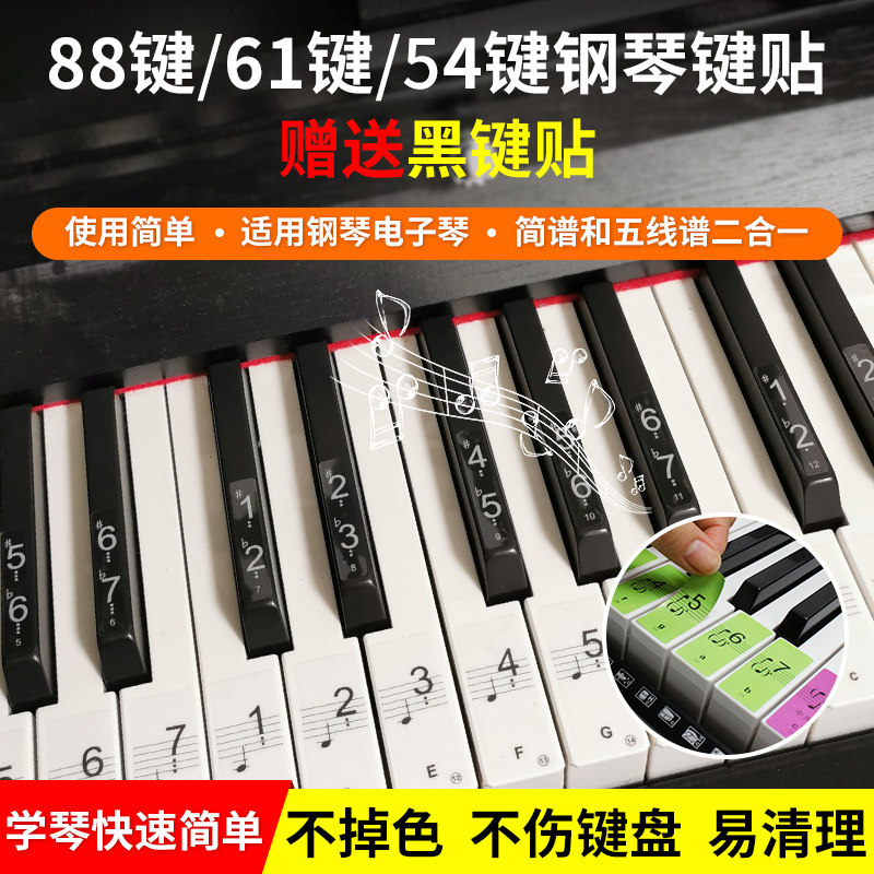 Piano Key Sticker Key Sticker 8861 Electronic Organ Keyboard Stickup Hand Roll Five Line Spectrum Profile Key Phonetic Note Key Position