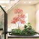 Moss Artificial Landscaping Plants, High-End Artificial Green Plant Combination, Indoor Landscape, Stairs, Shopping Mall, Bionic Fake Plants
