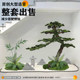 Simulated Welcoming Pine Tree for Landscaping, Large Artificial Green Plant, Indoor Pine Tree for Hotel, Decorative Fake Tree Ornament for under Stairs, Landscape Feature
