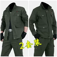 Jun Green 581 Set+военный зеленый 420 Set (два комплекта)