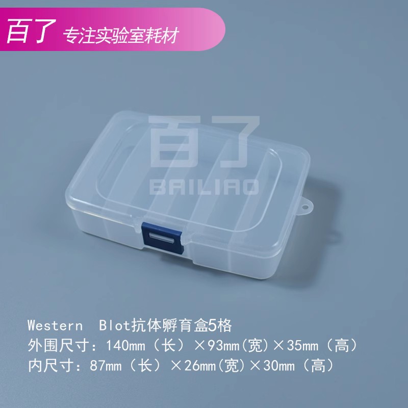 western blot抗体孵育盒 wb抗体孵育 免疫组化湿盒 5格中号