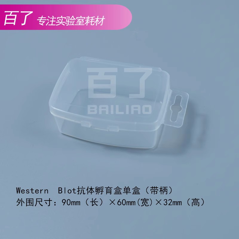 Western Blot 抗体孵育盒 孵育 整膜 小 单盒 带柄