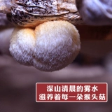 [Деревня] Герия грибы сухожилие товары 400 г грибов головы обезьяны