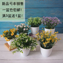 Small freshening simulation plant fake flower and grass potted plastic green planting multi-meat guest hall furniture office desktop decoration pendulum piece