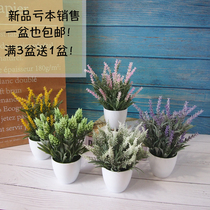Fake Grass Potted Plant Pendulum Simulation Flower Living Room Flower Arrangement Plastic Fake Flowers Indoor Tea Table Furnishing Decoration Small Simulation Plant