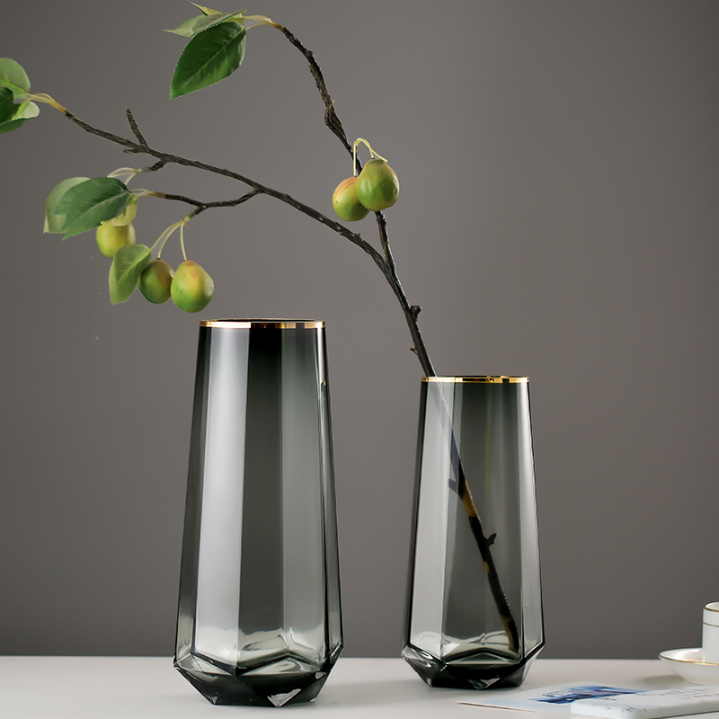 Nordic simple creative light luxury extra large transparent glass hydroponic plant vase living room table decoration decoration