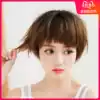 Wig female short hair round face net red natural full head cover BOBO head Dog gnaw repair face fluffy realistic BOBO head