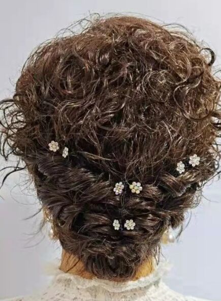 Middle Aged Wig Disc Hair High-end Lady Wig Hair Sets Warlord Wife Old Shanghai Disc Hair Hairstyle-Taobao