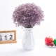 Big Bunch Purple Full Sky (Gift Cloud Rong Bottle)