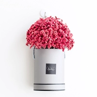 Полный Tiansang Flower Bouncing Dry Flower Furnitw