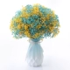 Big Beam Double Color, полный Tianxing Yellow+Blue (включая бутылку Haiyue)