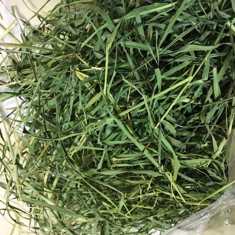 Chinchilla special Timothy grass 500g Maoshun Shiyuan three kinds of Chinchilla with grass molar nutrition type 3 catties