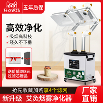 Moxibustion smoke purifier smoke exhaust system household mobile smoking artifact solder smoker moxibustion smoke exhaust machine
