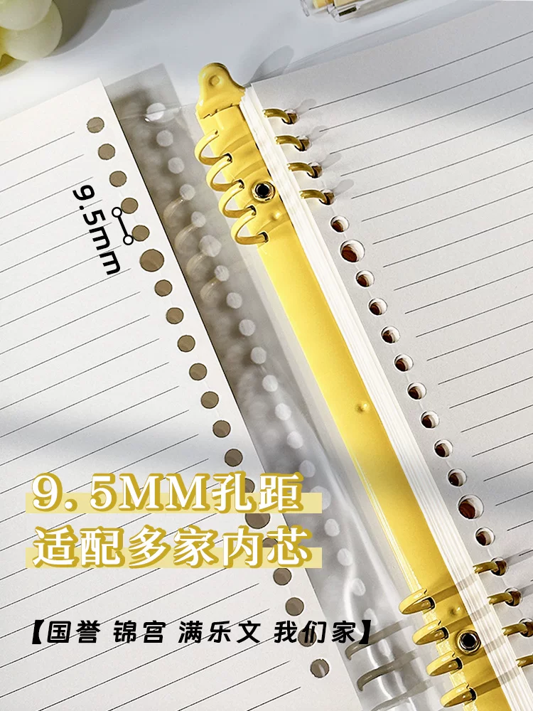 Transparent capacious removable lock, high quality folder, hole puncher, tear-off sheet, DIY