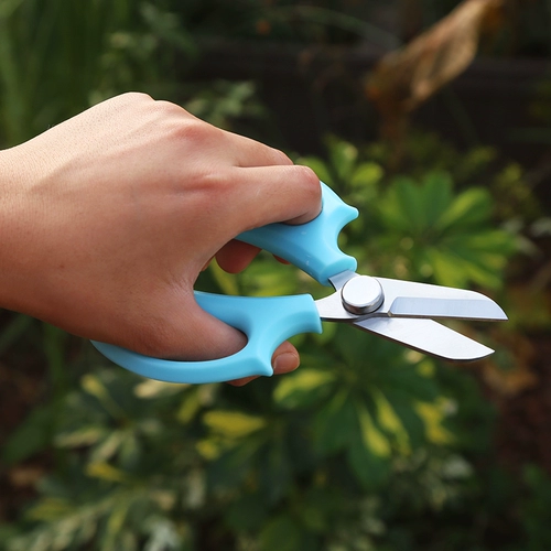 花剪园艺花艺剪刀宽头家用花剪鲜花花道剪花枝树枝修理工具修花枝