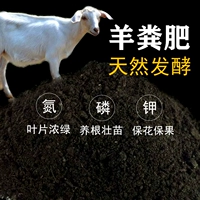 10 фунтов овечьего навоза (хорошая ферментация)