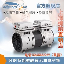 Shanghai Jaguar Compressor Manufacturing Co Ltd Oil-free vacuum pump Wind Leopard